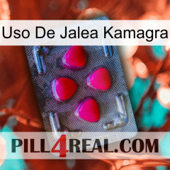 Kamagra Jelly Use 13